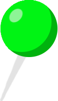 Pin Icon